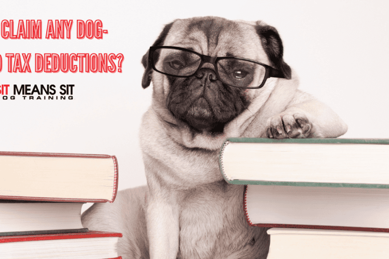Can I Claim Any Dog-Related Tax Deductions?