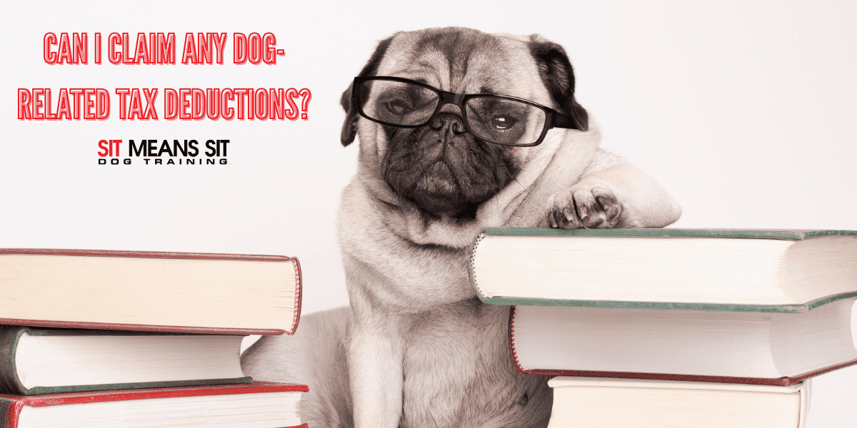 Can I Claim Any Dog-Related Tax Deductions?