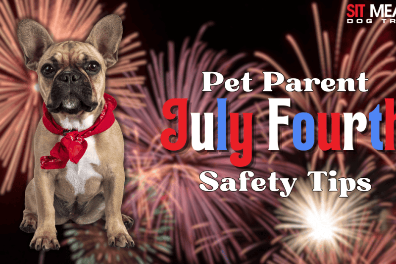 Pet Parent Safety Tips for July Fourth