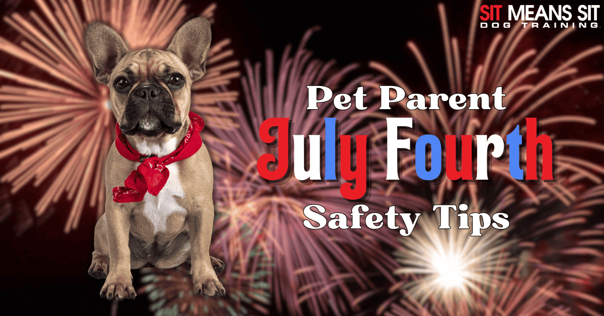 Pet Parent Safety Tips for July Fourth