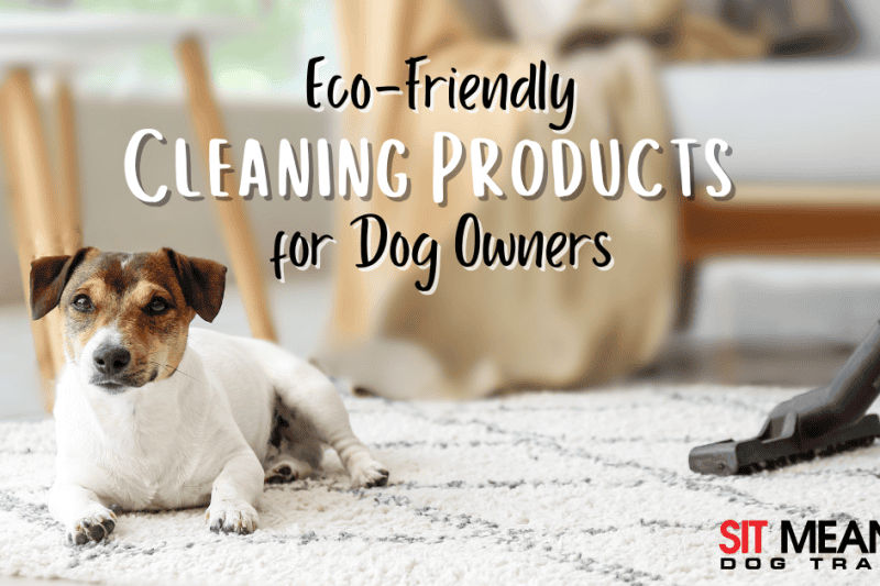 The Best Eco-Friendly Cleaning Products for Dog Owners