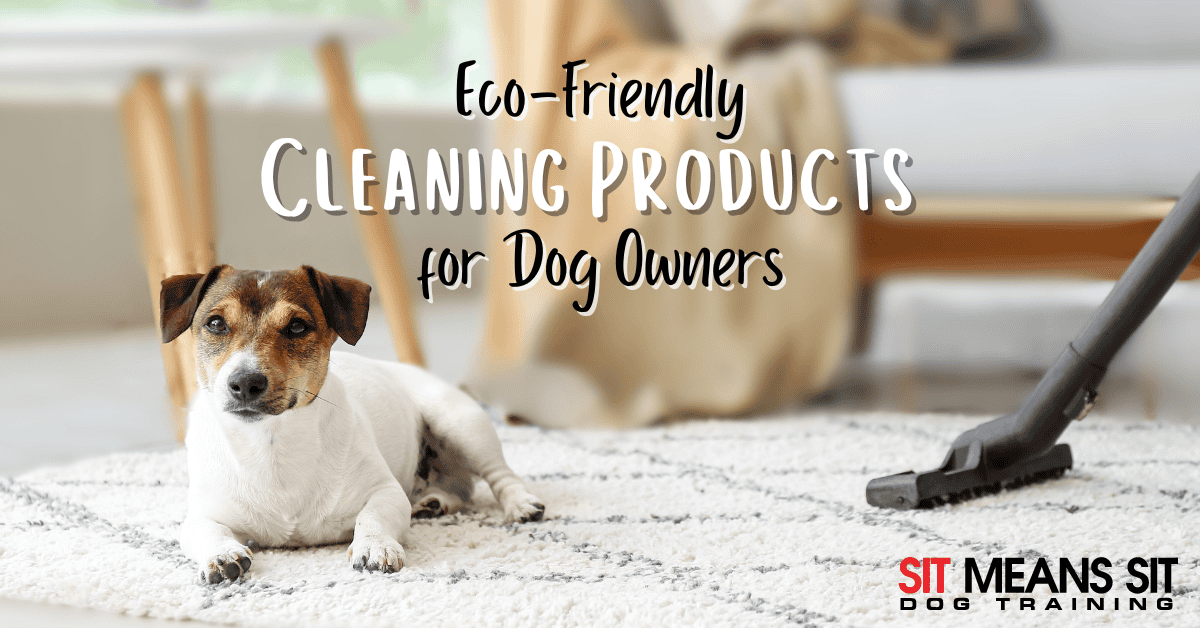 The Best Eco-Friendly Cleaning Products for Dog Owners